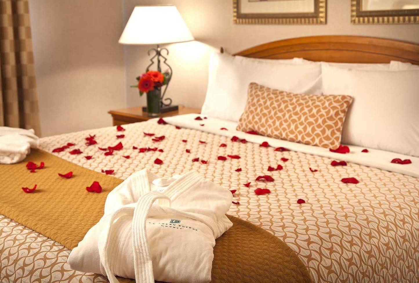 Hotel Chicago Marriott Schaumburg